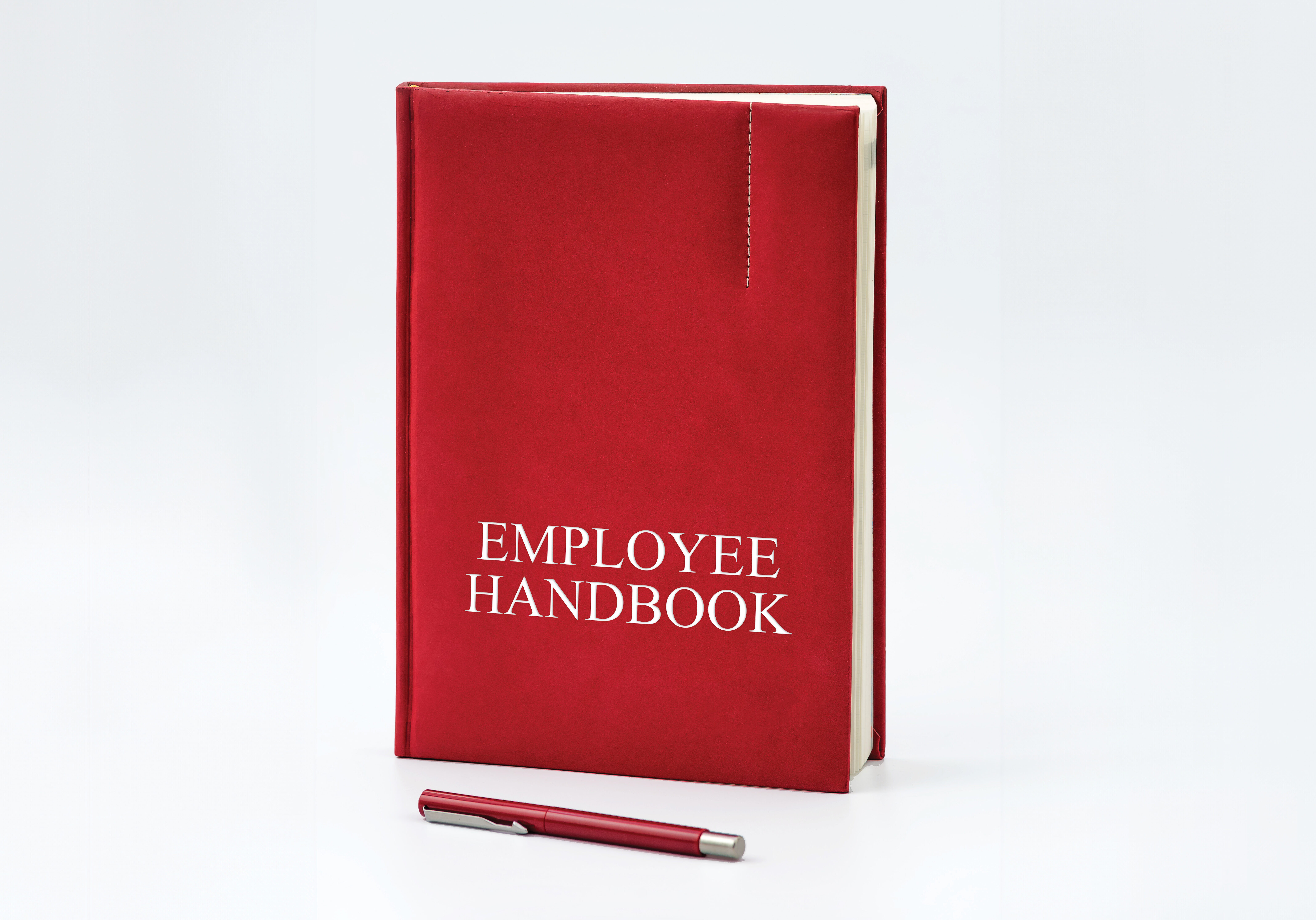 Walcheske-Luzi_Workplace-Handbooks-Policies